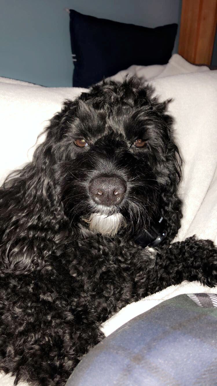 Sully
