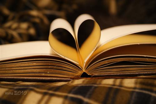 Love Books 