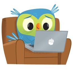 owl.jpeg 
