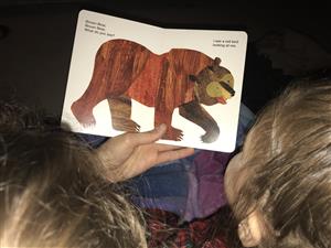 Brown Bear Brown Bear
