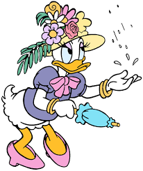 daisy 